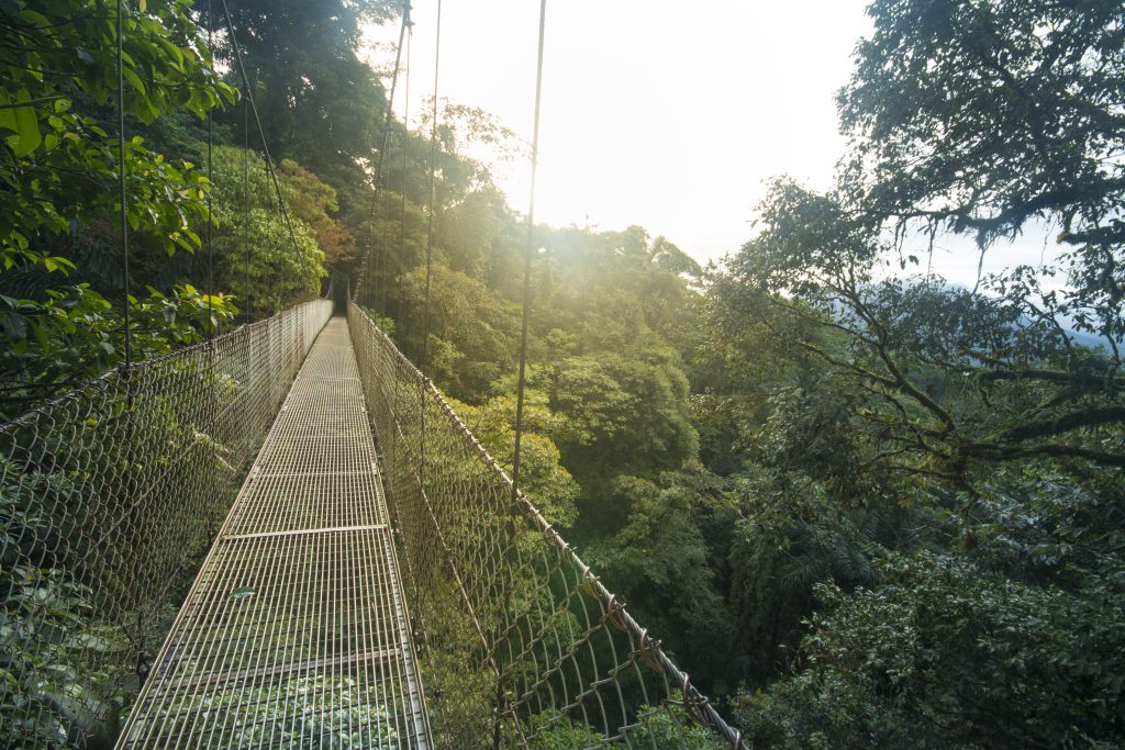 Arenal Hanging Bridges Tour